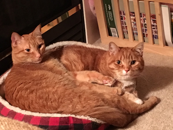 Mickey and Jeter - November 2015